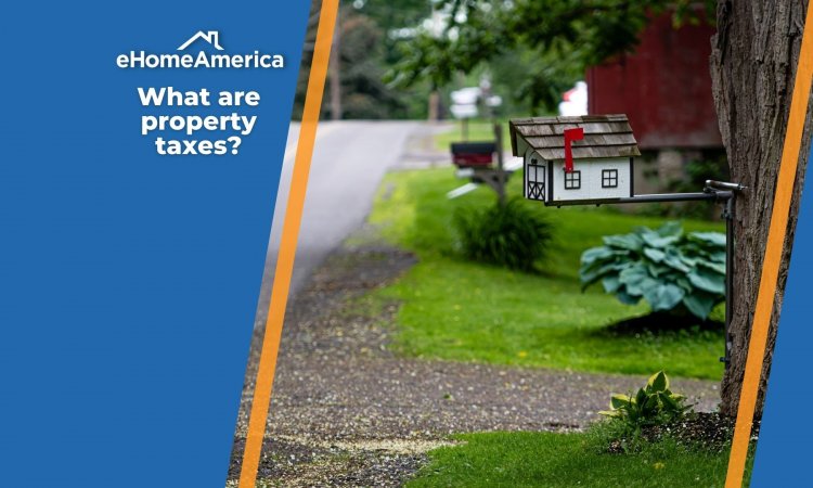 What are property taxes?