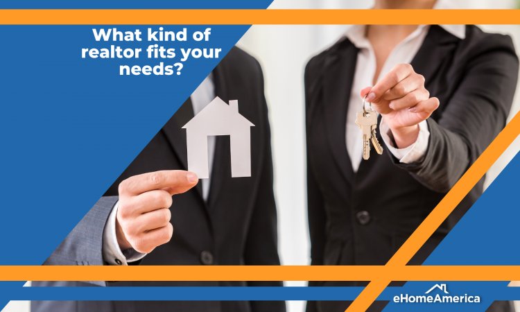 What kind of realtor fits your needs?