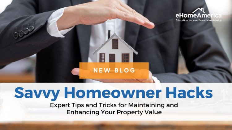 Savvy Homeowner Hacks: Expert Tips and Tricks for Maintaining and Enhancing Your Property Value
